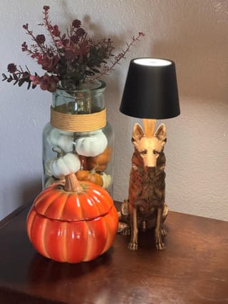 Customer photo