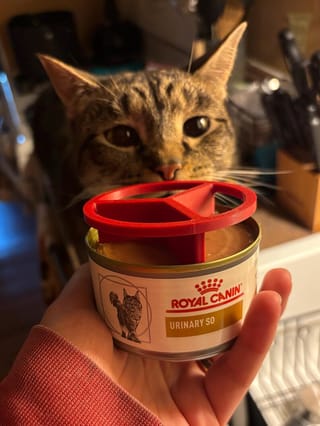 Customer photo