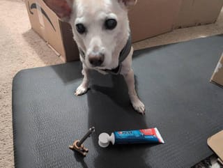 Customer photo